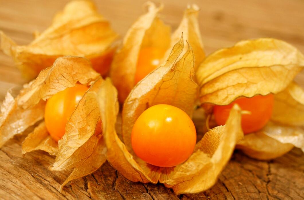 農業自動氣象站助力菇娘規?；N植